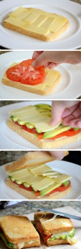 Grilled_cheese_with_avocado_&_tomato