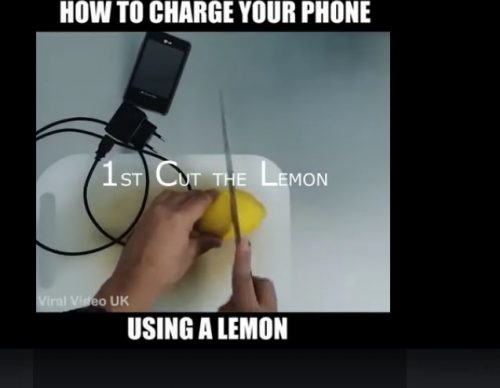 1465868977-5765-lemon